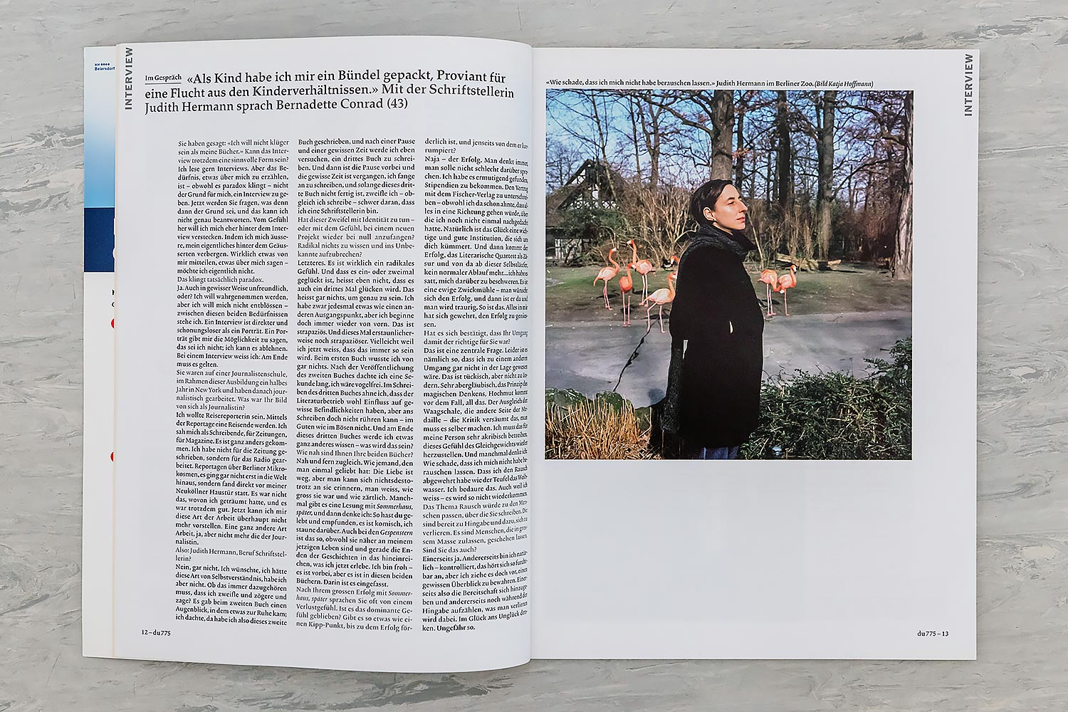 2007_du775_hermann_01