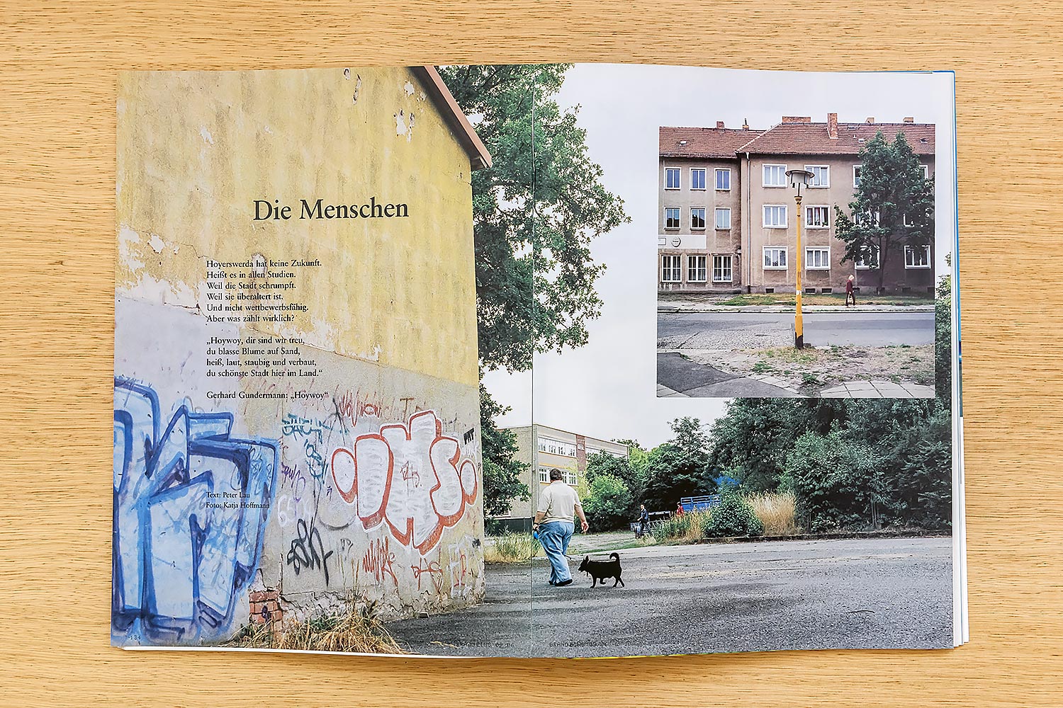 2006_brandeins_hoyerswerda_02