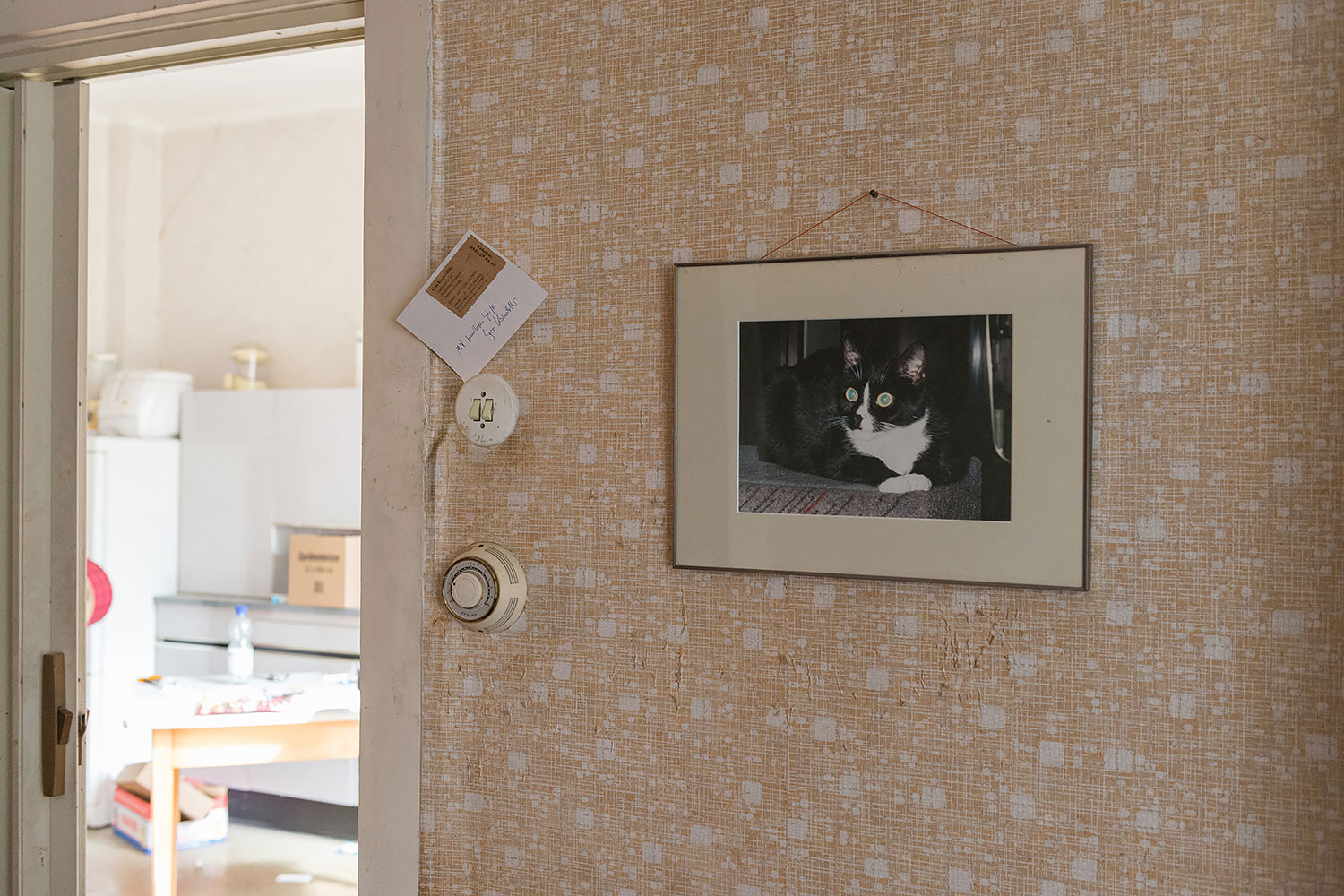 160331_wasuebrigbleibt_09