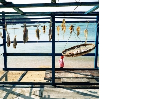 061226_outlyingislands_07