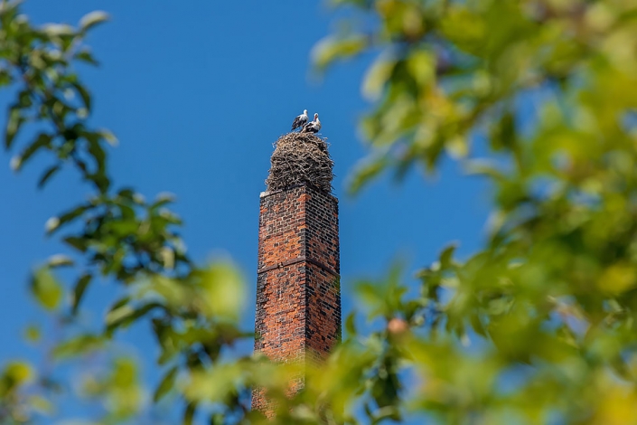 180725_havelland_bb